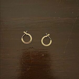 Elegant Gold Hoop Earrings